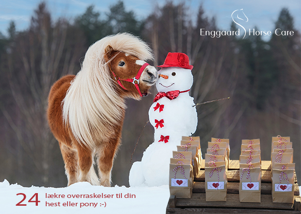Pakkekalender til heste