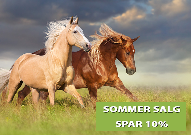 Sommersalg Spar 10%