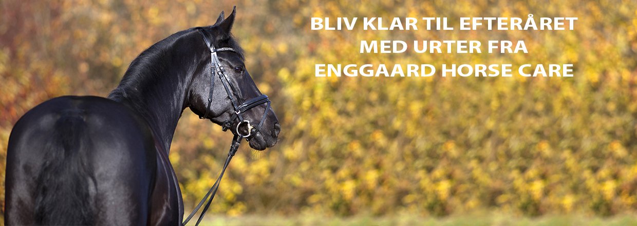 Naturligt tilskudsfoder til heste