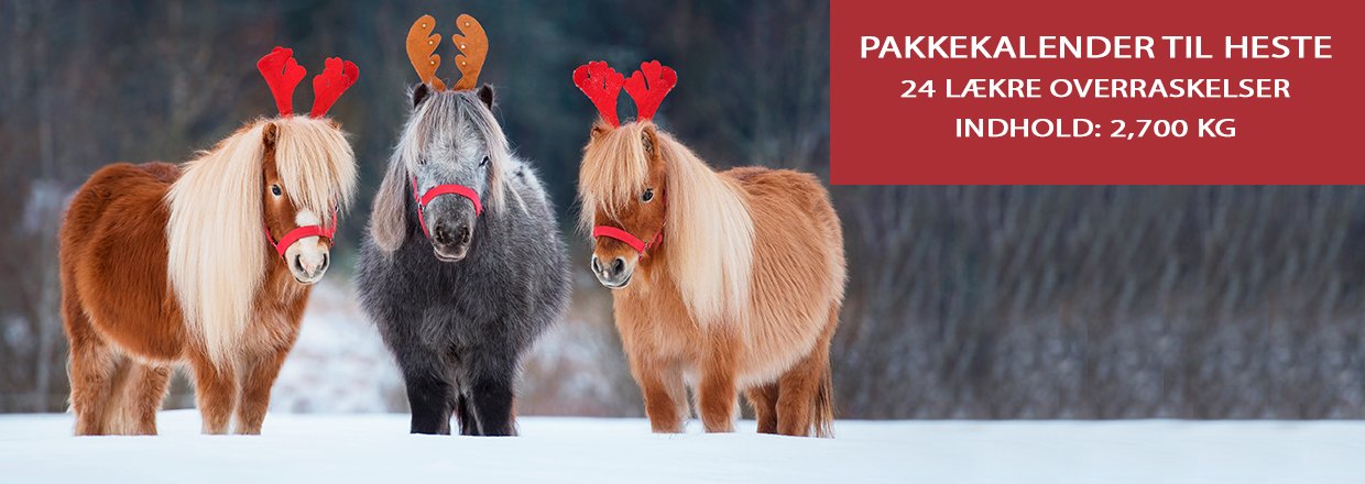 Enggaard Horse Care Pakkekalender