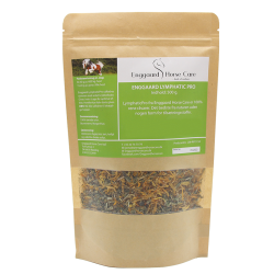 Enggaard LymphaticPro