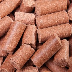 SPEED Gulerod godbidder 1 kg