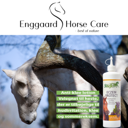 Stiefel Eczem Protect 500 ml