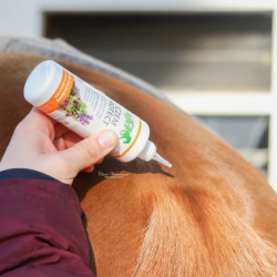 Stiefel Eczem Protect 500 ml