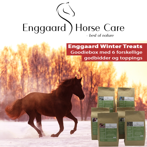 Enggaard Winter Treats