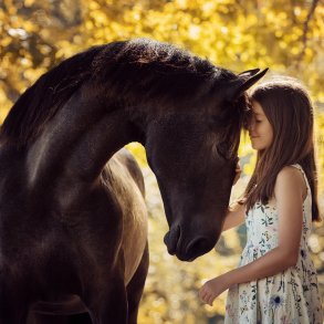 Godbidder & sliksten